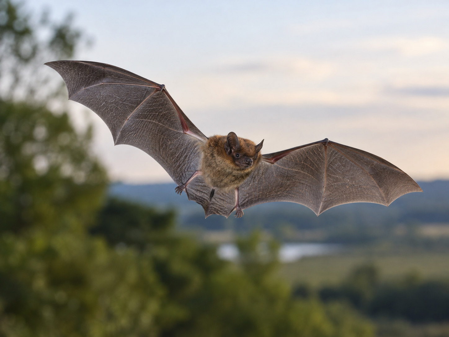 AI-generated animal illustration: Bat