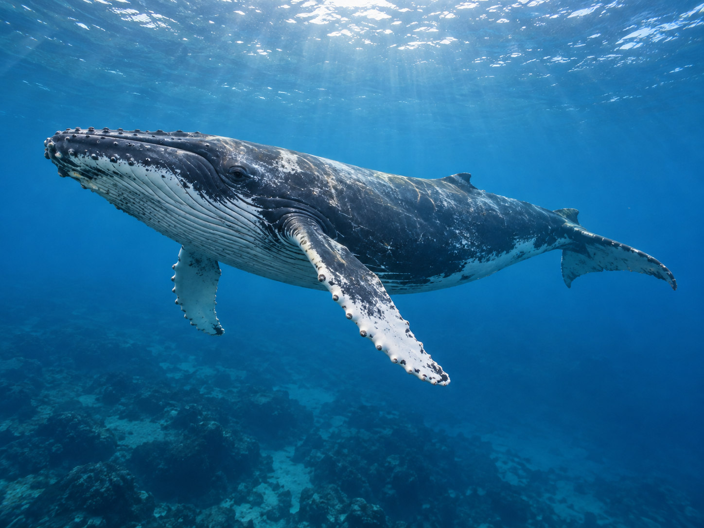 AI-generated animal illustration: Whale